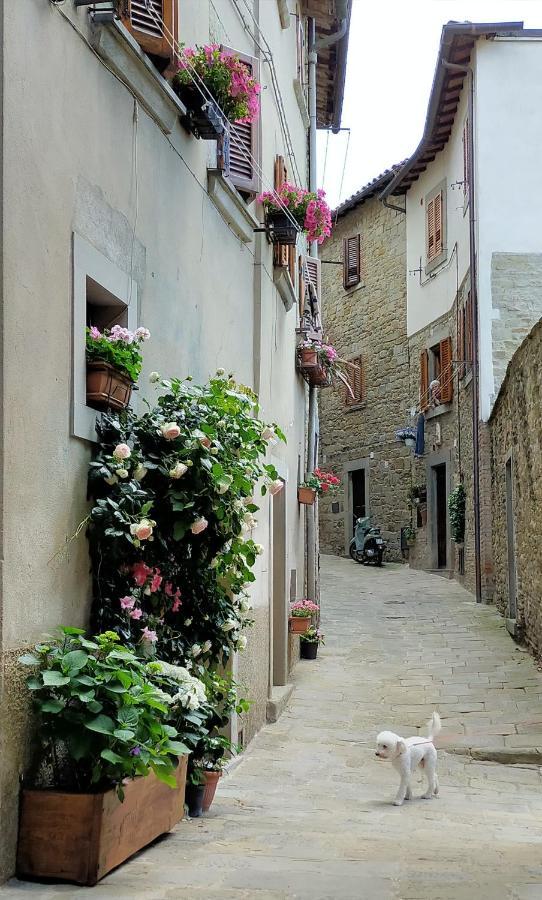Casa Agata, Accogliente Appartamento Nel Centro Storico 코르토나 외부 사진